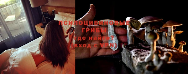 винт Белокуриха