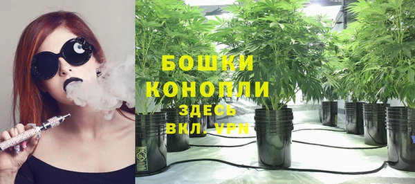 винт Белокуриха
